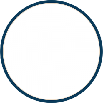 Ellipse 1 copy 2